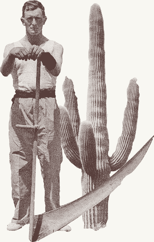 segalari
